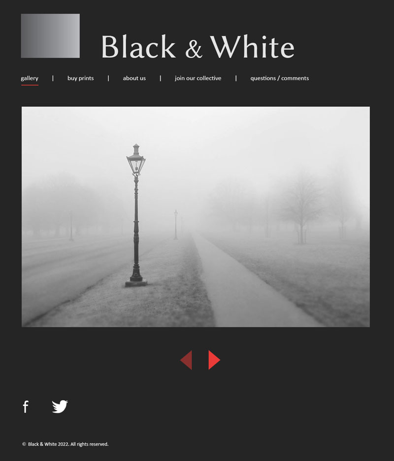Mockup for fictitious Black and White online photography gallery