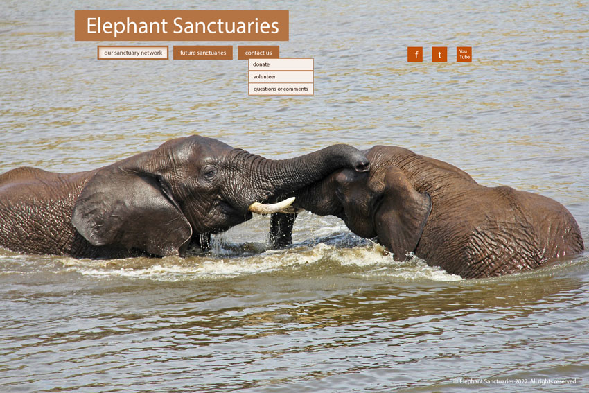 Mockup for fictitious Elephant Sanctuaries