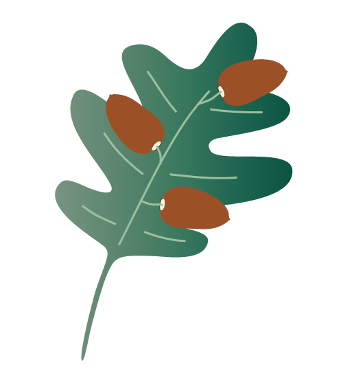 Oak leaf logo